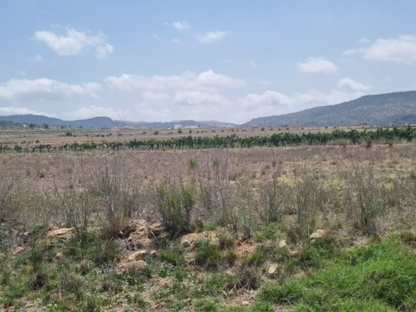 Land in Pinoso - Caza De Casa