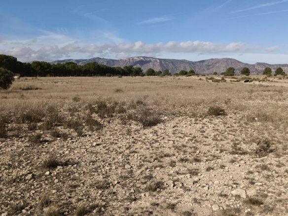 16,000 m² Land in Salinas - Caza De Casa