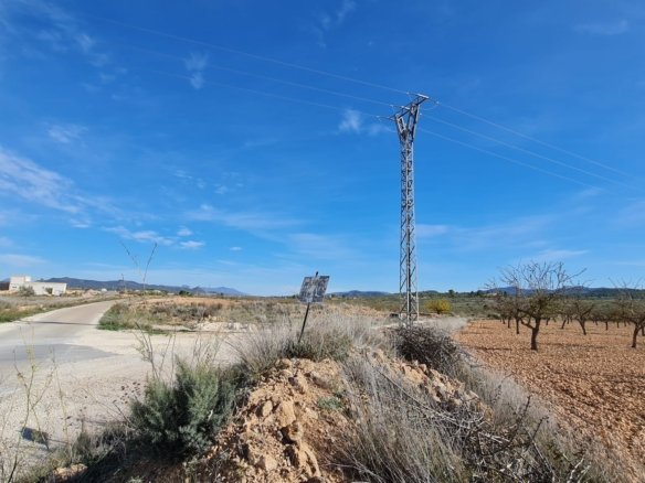 27,528 m² Land in Pinoso - Caza De Casa