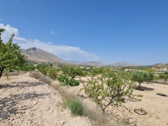 5,900 m² Land in Abanilla - Caza De Casa