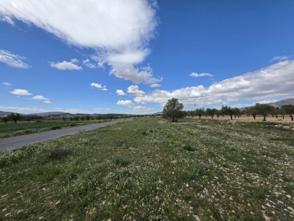 Land in Monóvar/Monóver - Caza De Casa