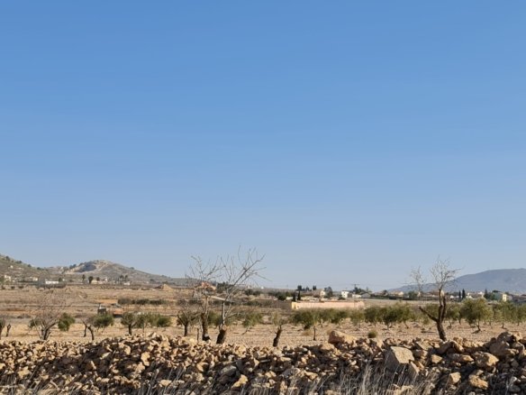 Land in Jumilla - Caza De Casa