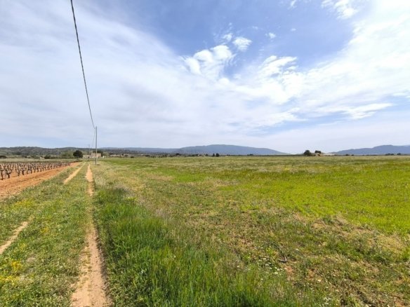 10 Bedroom 3 Bathroom Country House in Yecla - Caza De Casa