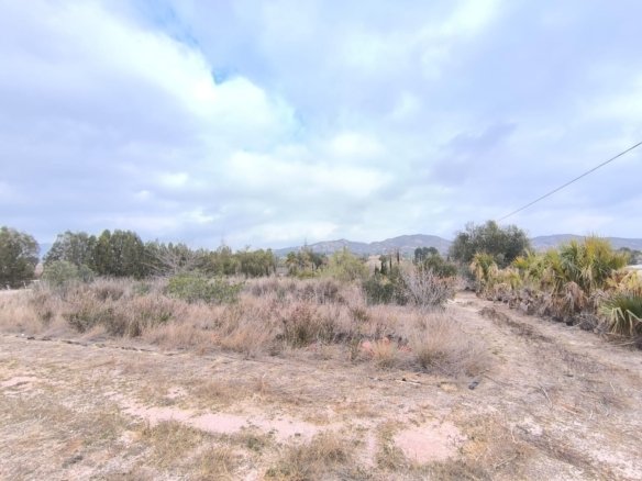 1 Bath Commercial in Aspe - Caza De Casa