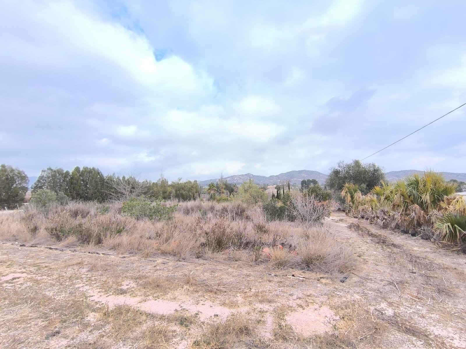 1 Bath Commercial in Aspe - Caza De Casa