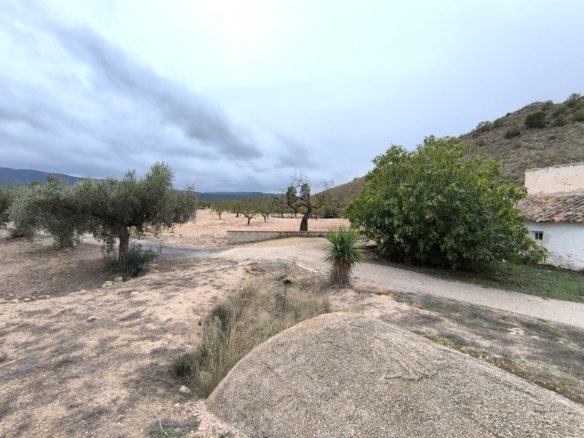 14 Bedroom 3 Bathroom Country House in Villena - Caza De Casa