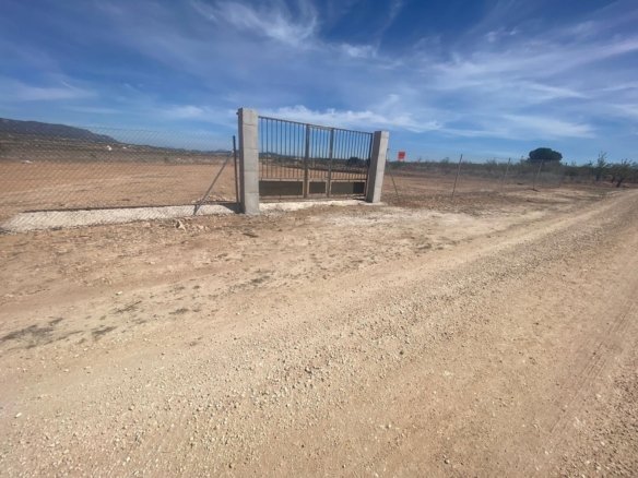 Land in Pinoso - Caza De Casa