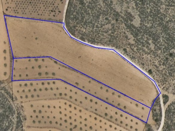 10,354 m² Land in Pinoso - Caza De Casa