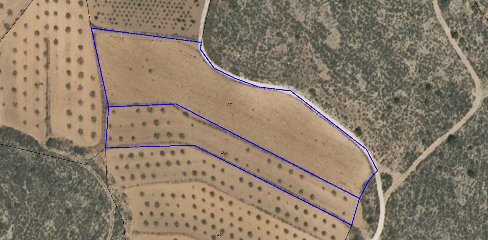 10,354 m² Land in Pinoso - Caza De Casa