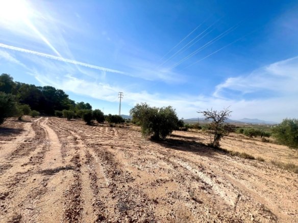 1 Bed Country House in Pinoso - Caza De Casa