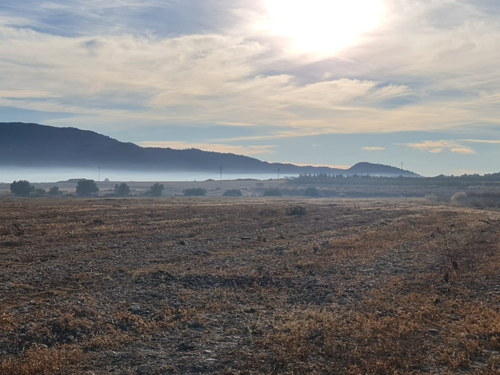 Land in Monóvar/Monóver - Caza De Casa