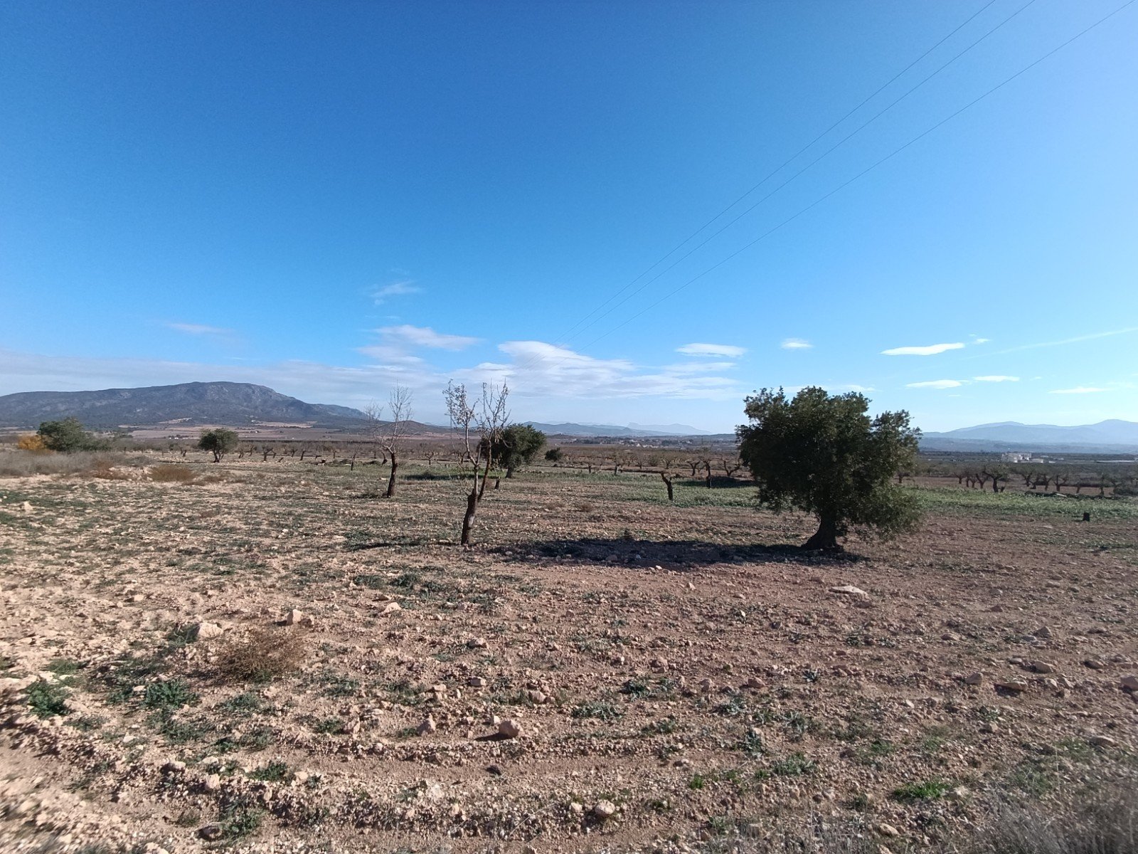 2 Bedroom Other in Yecla - Caza De Casa