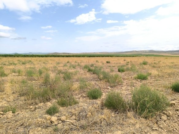 55,162 m² Land in Yecla - Caza De Casa