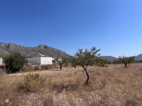 Land in Macisvenda - Caza De Casa