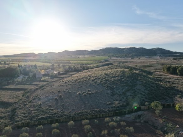 40,000 m² Land in Yecla - Caza De Casa