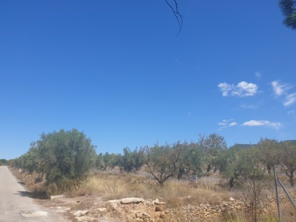 9,500 m² Land in Biar - Caza De Casa