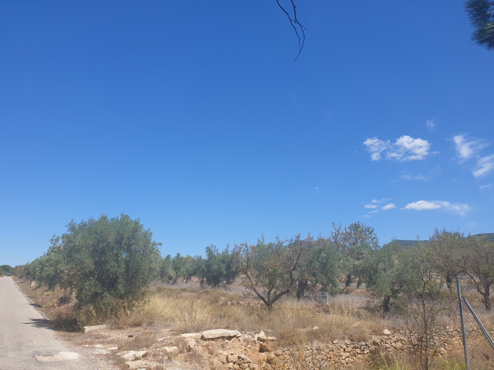 9,500 m² Land in Biar - Caza De Casa