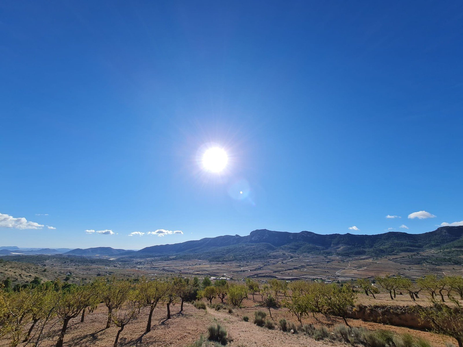 Land in La Romana - Caza De Casa
