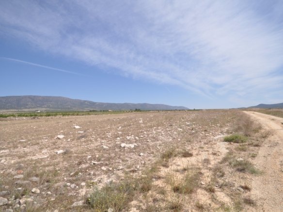 Land in Pinoso - Caza De Casa