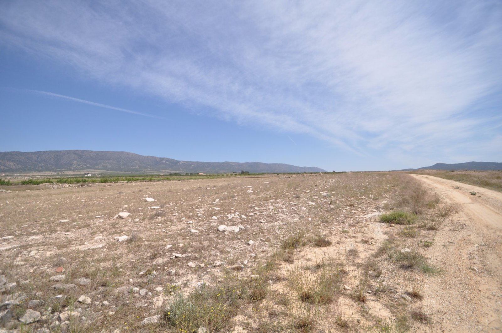 Land in Pinoso - Caza De Casa