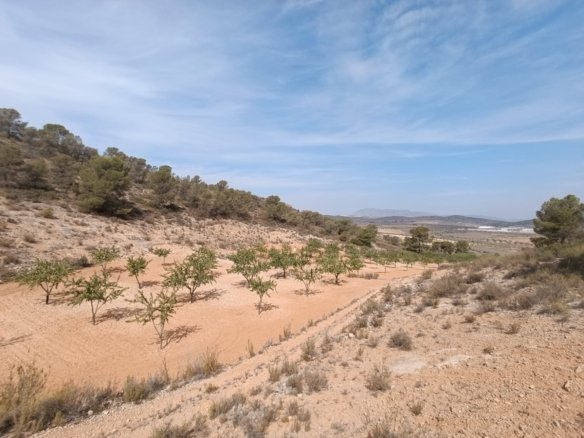 Land in Abanilla - Caza De Casa