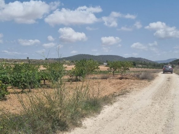 4,211 m² Land in Pinoso - Caza De Casa