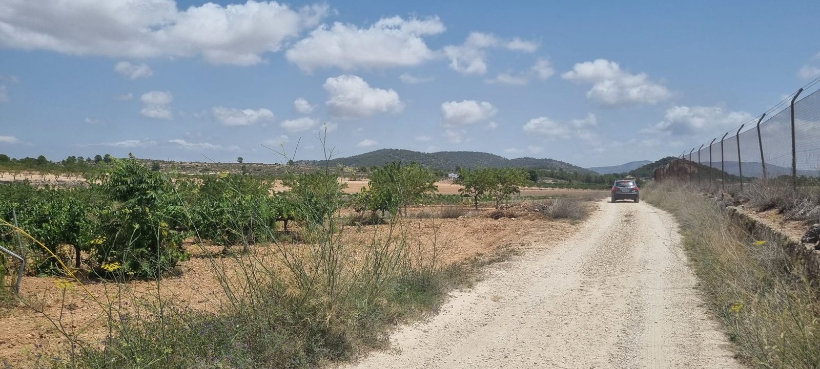 4,211 m² Land in Pinoso - Caza De Casa
