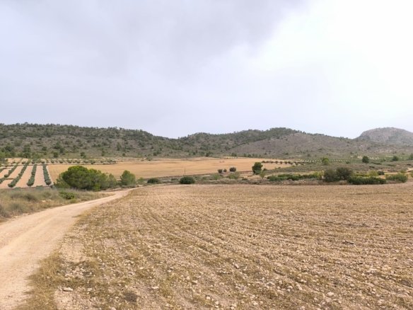 Land in Yecla - Caza De Casa