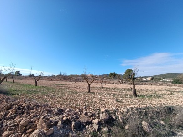 2 Bedroom Other in Yecla - Caza De Casa
