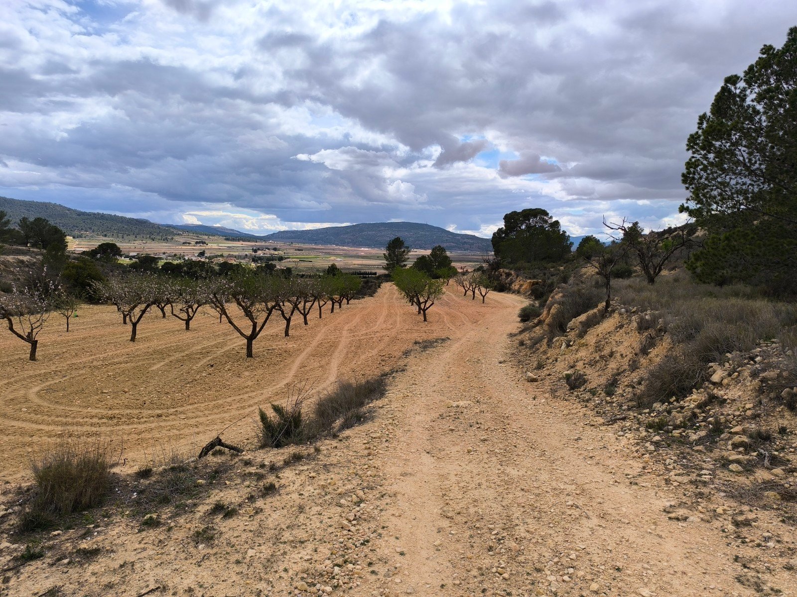 Land in Pinoso - Caza De Casa