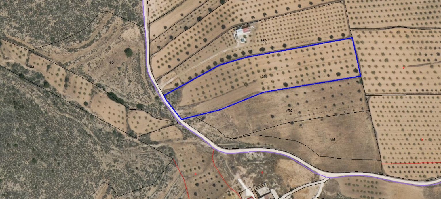 12,234 m² Land in Pinoso - Caza De Casa
