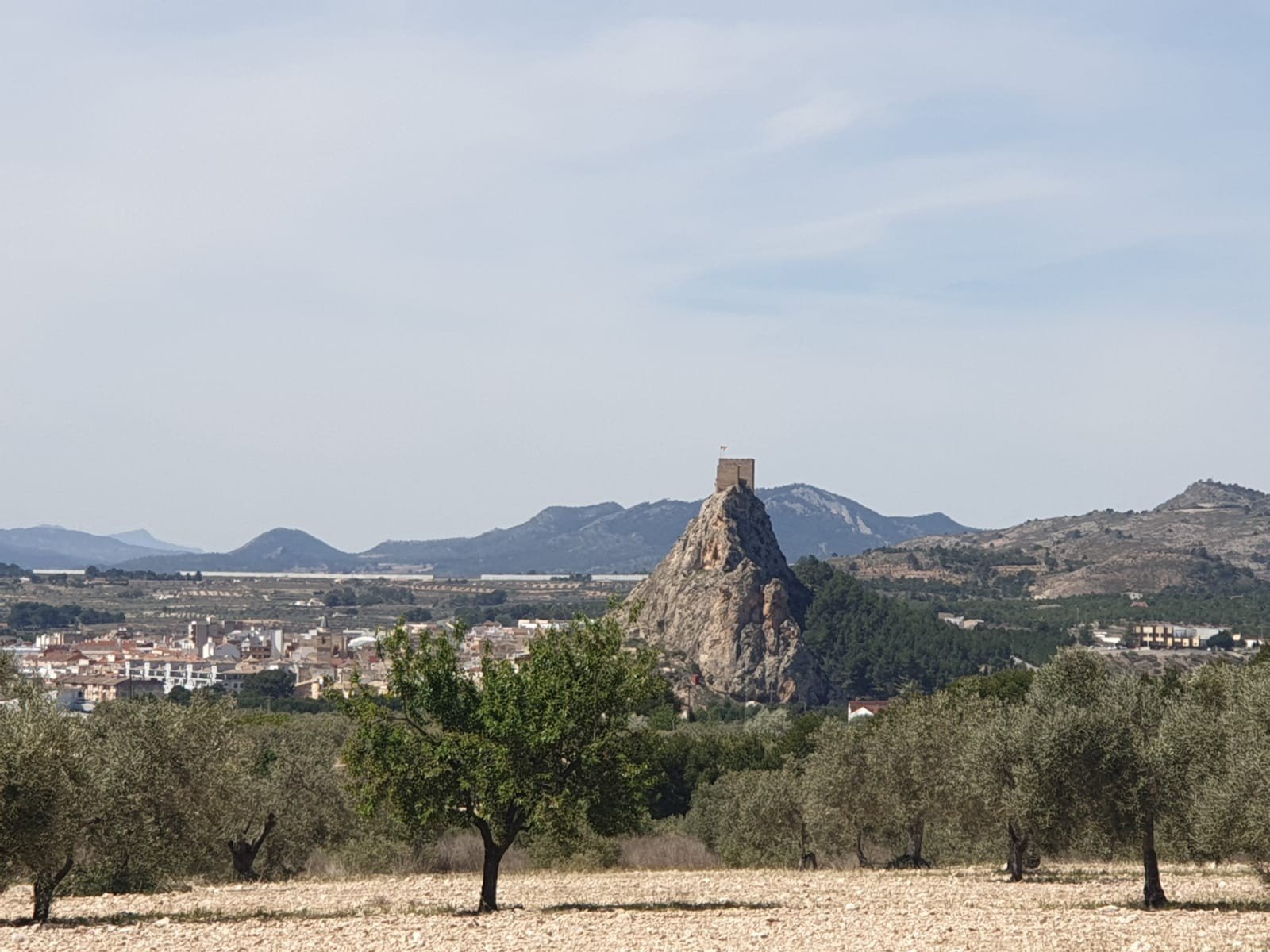 22,499 m² Land in Sax - Caza De Casa