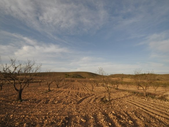 Land in Abanilla - Caza De Casa