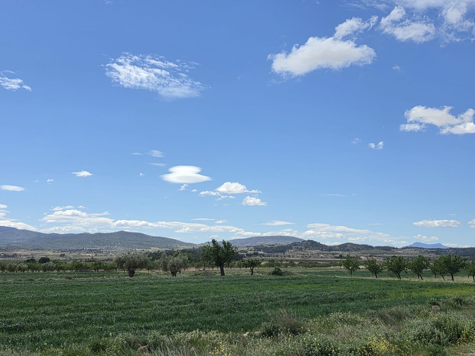 Land in Monóvar/Monóver - Caza De Casa