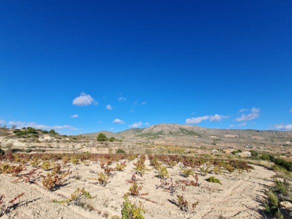 Land in La Romana - Caza De Casa
