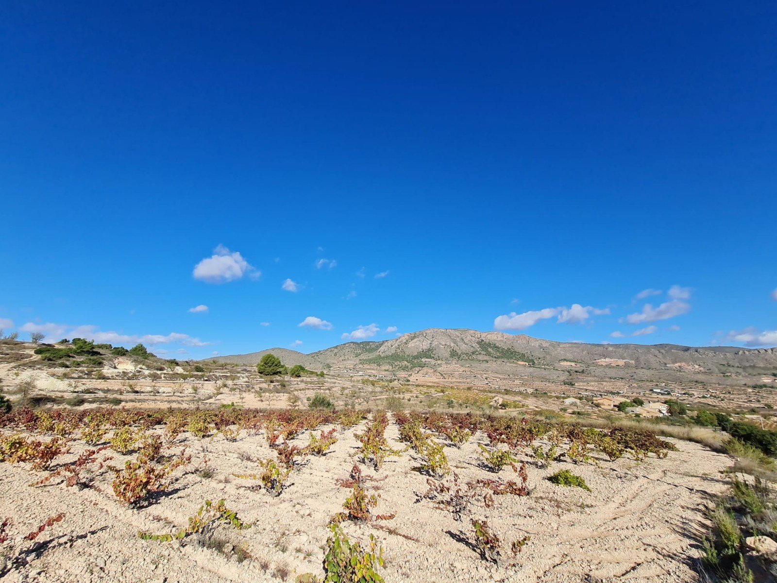 Land in La Romana - Caza De Casa