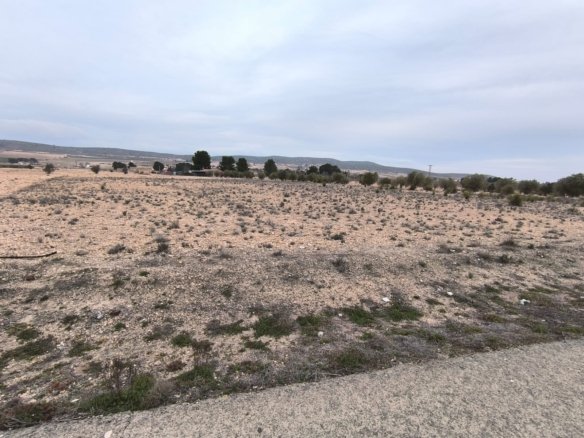 95,000 m² Land in Yecla - Caza De Casa