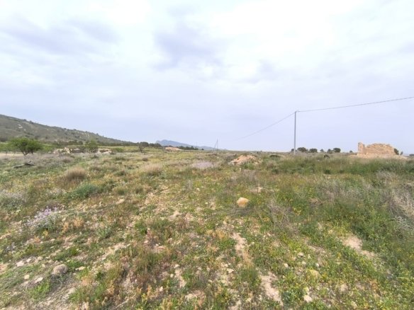 8 Bed Other in Las Encebras - Caza De Casa