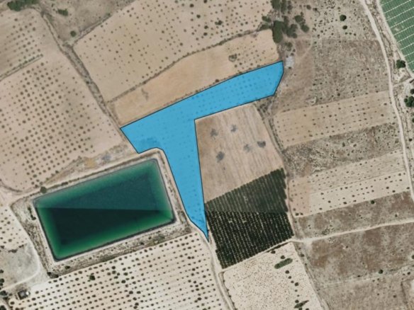 Land in Monóvar/Monóver - Caza De Casa