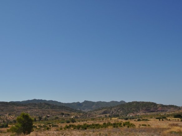48,977 m² Land in Macisvenda - Caza De Casa