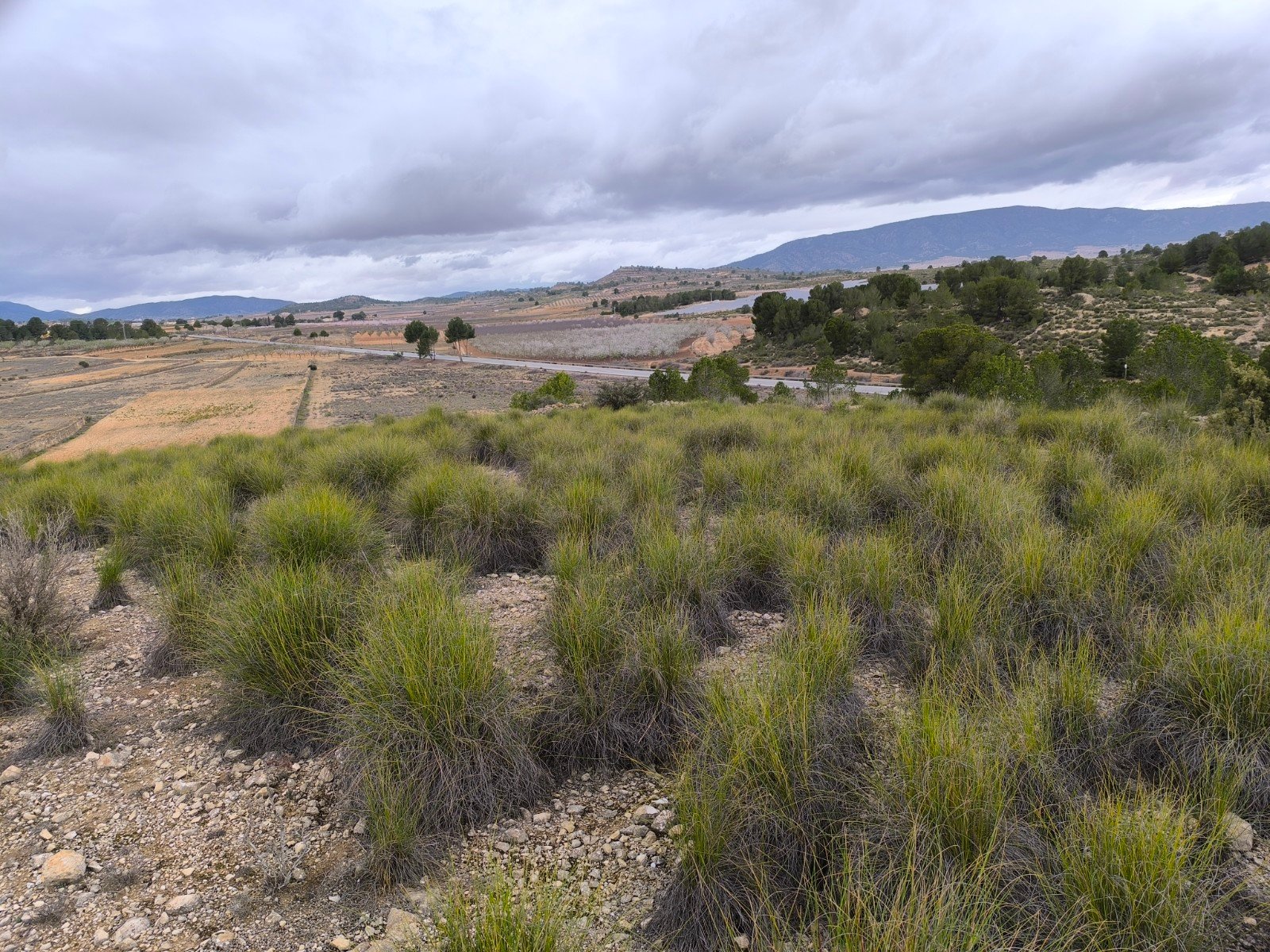 14,595 m² Land in Chinorlet - Caza De Casa