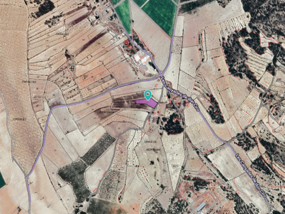 3,753 m² Land in Monóvar/Monóver - Caza De Casa
