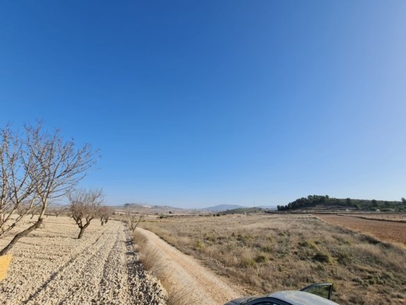 Land in Jumilla - Caza De Casa