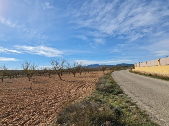 27,528 m² Land in Pinoso - Caza De Casa
