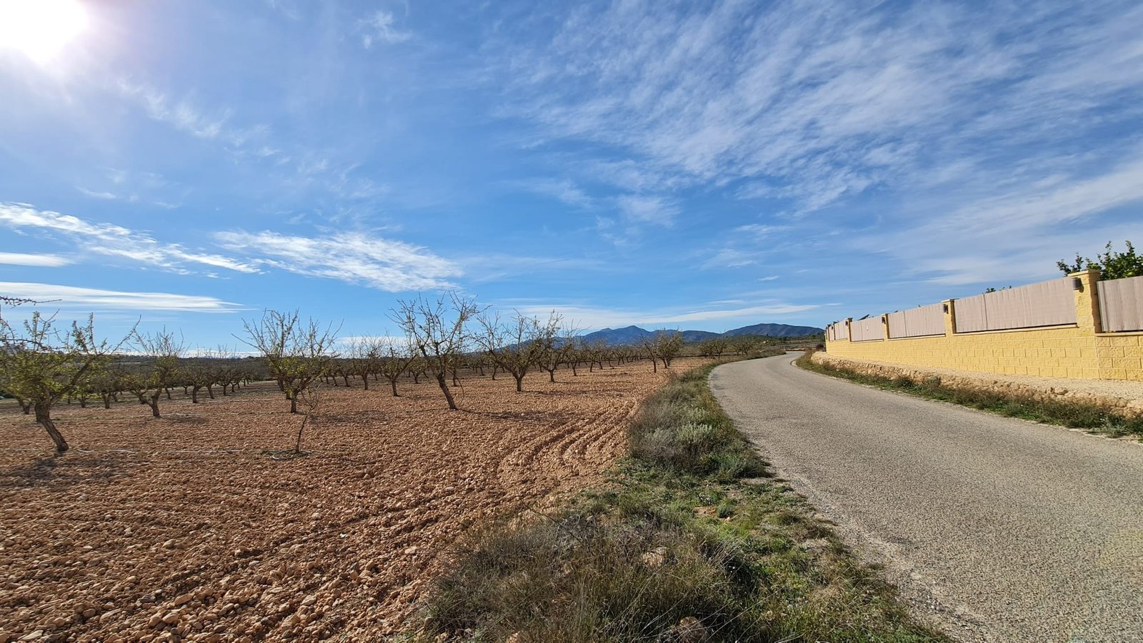 27,528 m² Land in Pinoso - Caza De Casa