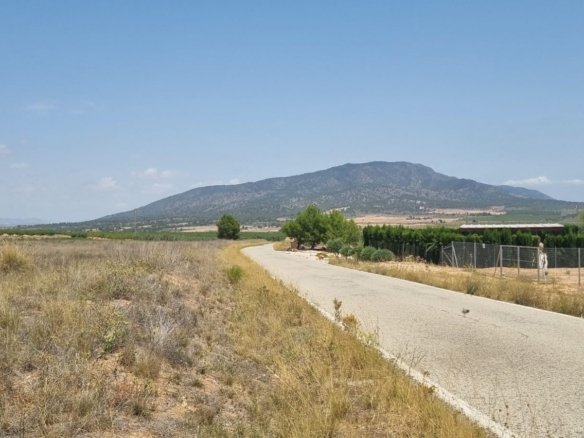 Land in Yecla - Caza De Casa