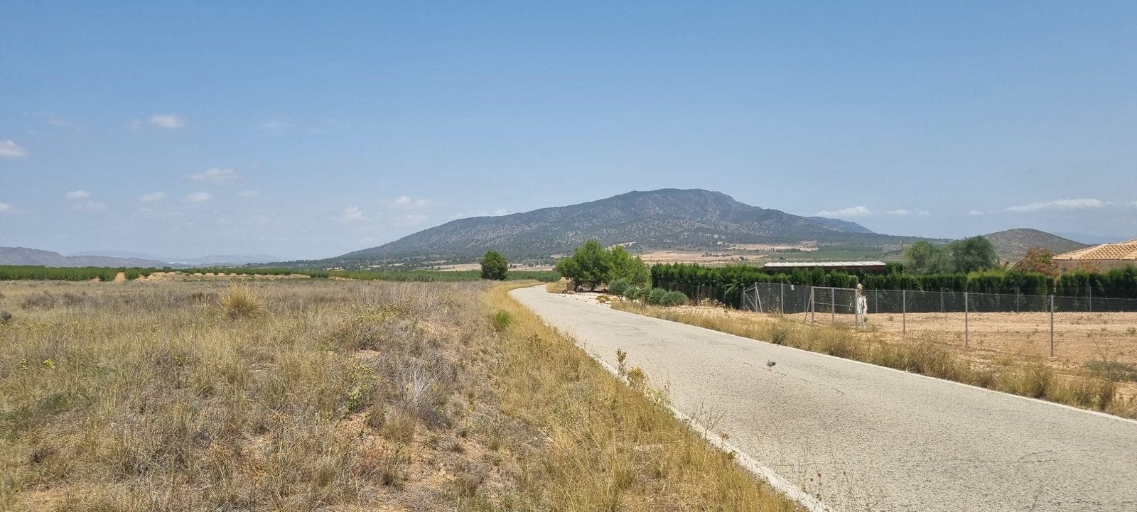 Land in Yecla - Caza De Casa