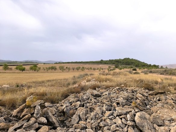 Land in Yecla - Caza De Casa