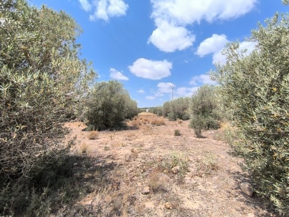 1 Bedroom 1 Bathroom Country House in Caudete - Caza De Casa