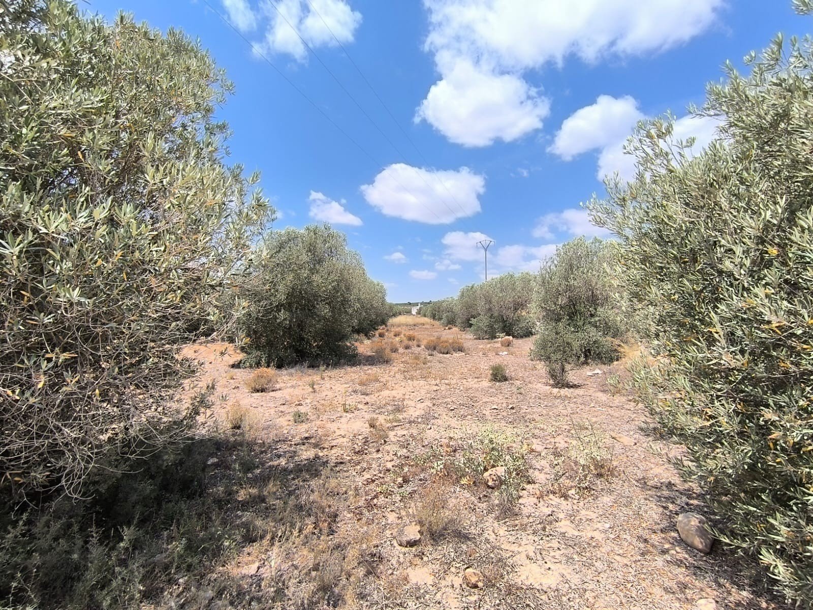 1 Bedroom 1 Bathroom Country House in Caudete - Caza De Casa